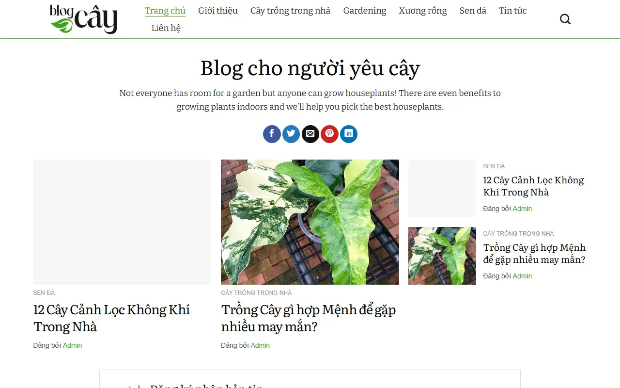 Mẫu website tin tức & blog — Mẫu web blog cây – uy tín